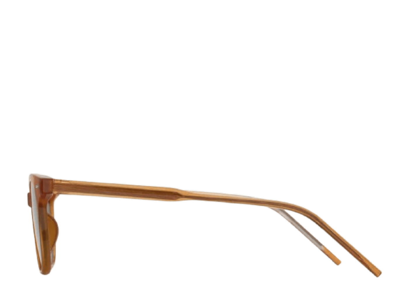 Blue Elephant Sunglasses Deia Pumpkin 3